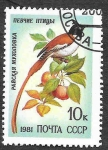 Stamps Russia -  4973 - Monarca Colilargo Asiático