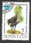 Stamps Russia -  5050 - Grulla Monje