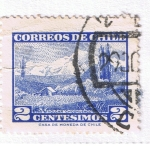 Stamps : America : Chile :  Volcan Choshuenco