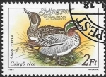 Stamps Hungary -  Aves
