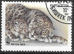 Stamps : Asia : Kyrgyzstan :  fauna