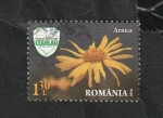 Stamps Romania -  6051 - Flor, arnica montana