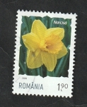 Stamps Europe - Romania -  Flor, narciso