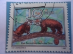Stamps Germany -  DDR- Panda Menor (Aihirus fulgens) Animales en peligro.