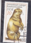 Stamps : Europe : Germany :  MARMOTA 