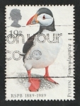 Sellos de Europa - Reino Unido -  1363 - Centº de la sociedad real de protección de aves, puffin