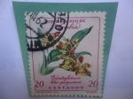 Stamps Colombia -  Orquídeas - Odontoglossum Luteopurpureum - Serie: Flores