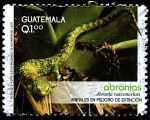 Stamps : America : Guatemala :  ANIMALES EN PELIGRO DE EXTINCIÓN