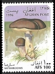 Stamps Afghanistan -  Setas - Suillus luteus