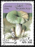 Stamps Afghanistan -  Setas - Russula virescens
