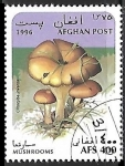 Stamps : Asia : Afghanistan :  Setas - Clitocybe inversa