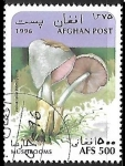 Stamps Afghanistan -  Setas - Volvariella bombycina