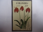 Stamps Colombia -  Asdevallia, Occinea - Serie:Excibición Nacional de Orquídeas . 1a Ed.