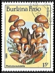 Sellos de Africa - Burkina Faso -  Setas - Pholiota mutabilis