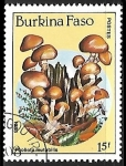 Stamps Burkina Faso -  Setas - Pholiota mutabilis
