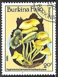 Stamps Burkina Faso -  Setas - Hypholoma (nematoloma) fasciculare