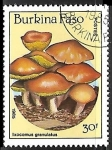 Stamps Burkina Faso -  Setas - Ixocomus granulatus
