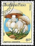 Stamps Burkina Faso -  Setas - Agaricus campestris