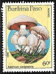 Stamps Burkina Faso -  Setas- Agaricus campestris
