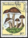 Stamps Burkina Faso -  Setas - Trachypus scaber