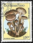 Stamps Burkina Faso -  Setas - Armillaria mellea