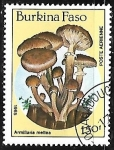 Stamps Burkina Faso -  Armillaria mellea