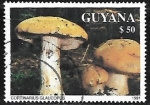 Sellos del Mundo : America : Guyana : Setas - Cortinarius Glaucopus
