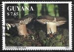 Stamps : America : Guyana :  Setas - Russula Nigricans
