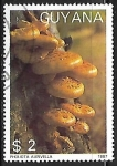 Stamps Guyana -  Setas - Pholiota aurivella