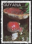 Stamps : America : Guyana :  Setas - Amanita muscaria
