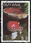 Sellos del Mundo : America : Guyana : Setas - Amanita muscaria