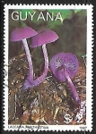 Stamps : America : Guyana :  Setas - Laccaria amethystina