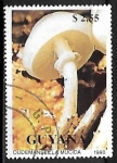 Stamps Guyana -  Setas - Oudemanseilla mucida