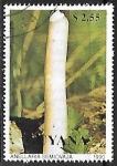 Stamps : America : Guyana :  Setas -Anellaria semiovaja