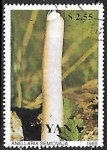 Stamps : America : Guyana :  Setas - Anellaria semiovaja
