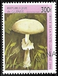 Stamps Guinea -  Setas - Destroying angel