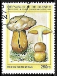 Stamps Guinea -  Setas - Boletus rhodoxanthus
