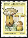 Sellos de Africa - Guinea -  Setas - Boletus rhodoxanthus