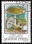 Stamps Hungary -  Setas - Amanita phalloides