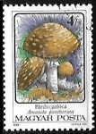 Sellos de Europa - Hungr�a -  Setas - Amanita pantherina