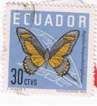 Sellos del Mundo : America : Ecuador : Papilio Torquados Leptalea