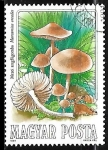 Stamps Hungary -  Setas - Marasmius oreades