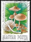 Stamps Hungary -  Setas - Marasmius oreades