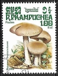 Stamps Cambodia -  Setas - Hebelona crustuliniforme