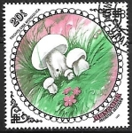 Stamps Mongolia -  Setas - Tricholoma Mongolica