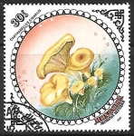 Stamps Mongolia -  Setas - Cantharellus Cibarius