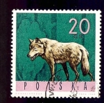 Stamps Poland -  INTERCAMBIO