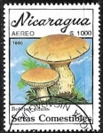 Stamps Nicaragua -  Setas - Boletus edulis