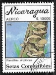 Sellos de America - Nicaragua -  Setas - Panellus stipticus