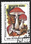 Stamps Russia -  Setas - Amanita muscaria